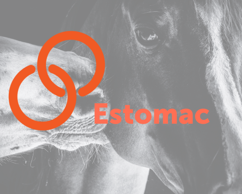 L’estomac